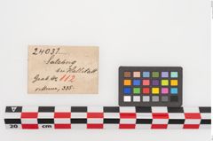 Etiketten zu Eisengriffangelmesser (NHMW-PRAE-024031)